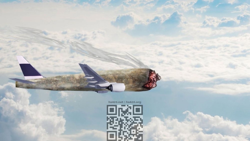 cannabis-plane.jpg
