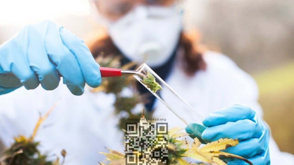 cannabis-research.jpg