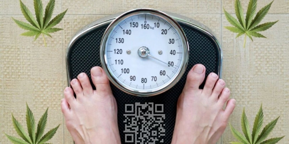 cannabis-weight.jpg