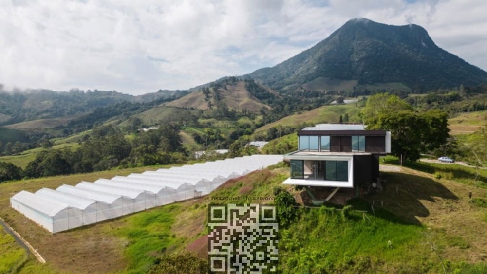 colombia-cannabis-farm.jpg