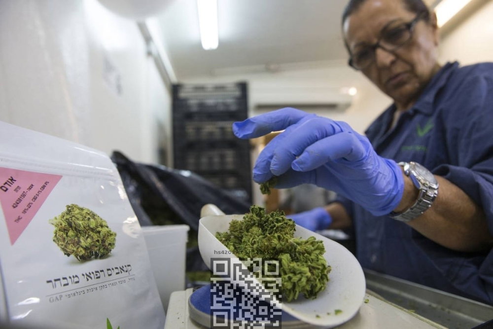 israel-medical-marijuana.jpg
