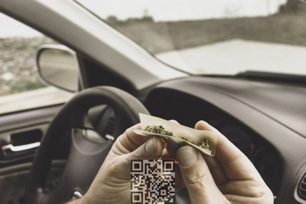 marijuana-driver.jpg
