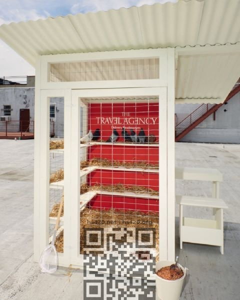 pigeons-house.jpg