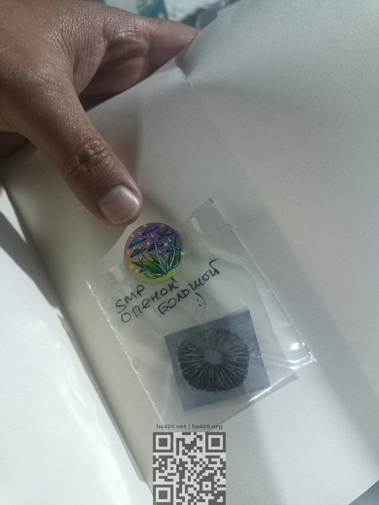 2025-08-2518-37-59.thumb.JPG.ff076beef36e3be8a70d314e0a4a41af.JPG