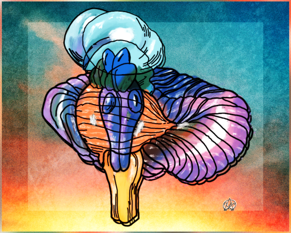 IMG_3462.thumb.png.abc01cd9c887347e5208aa31415c99bb.png