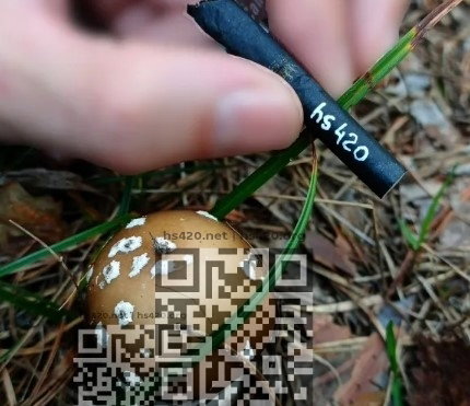 Screenshot_14.jpg.0ba7b2c7fd3b094a186ae29f76676b58.jpg