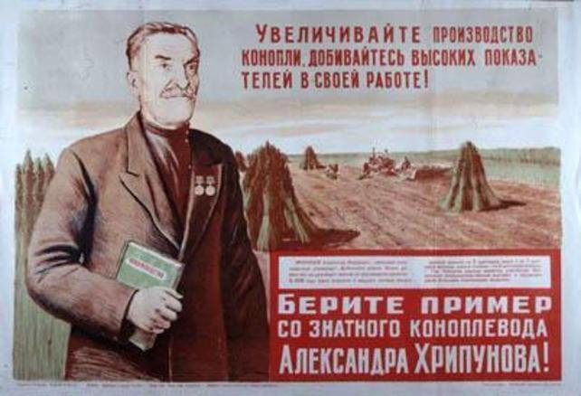 Soviet_hemp_poster.jpg.3f1d7bca41197b0384ffac0c117e7531.jpg