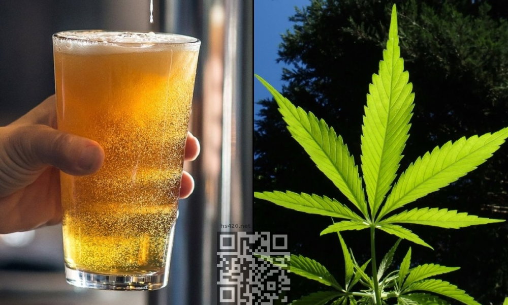 alcohol-cannabis.jpg