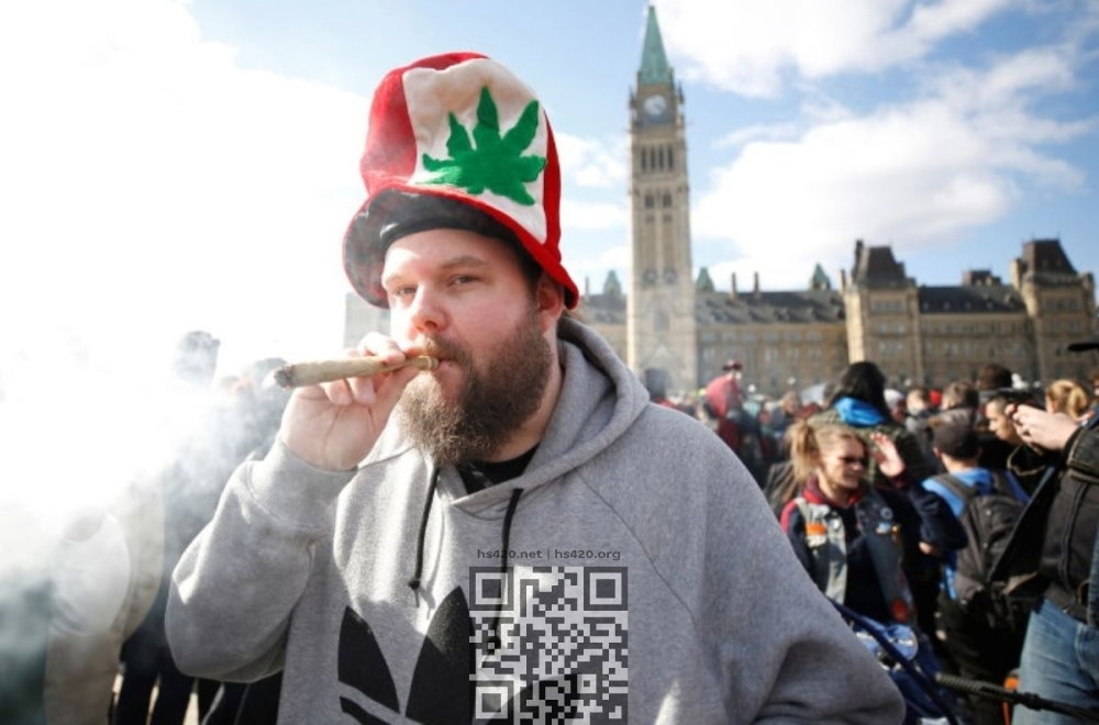 canada-cannabis-user.jpg