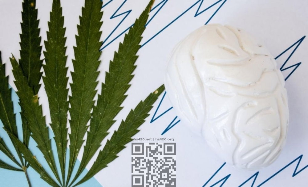 cannabis-brain.jpg
