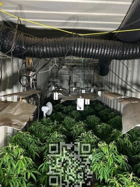 cannabis-farm-in-bunker.jpg