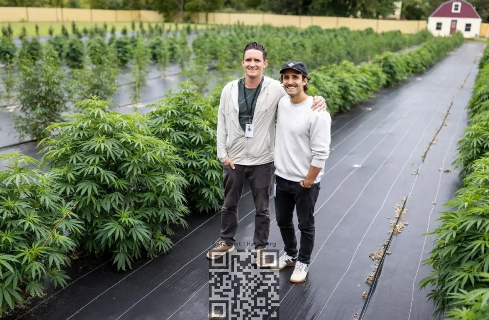 cannabis-farm-minnesota.jpg