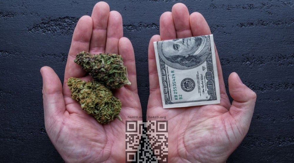 cannabis-scam.jpg