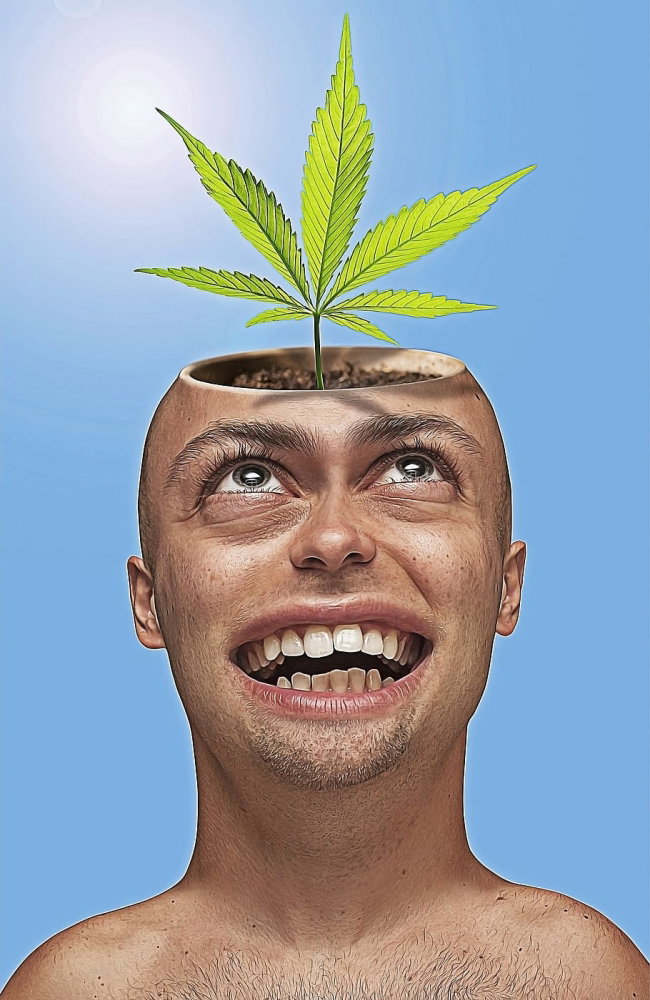 caricature-cartoon-funny-pot.thumb.jpg.172365bcc4762b416f91cb20f87e823a.jpg