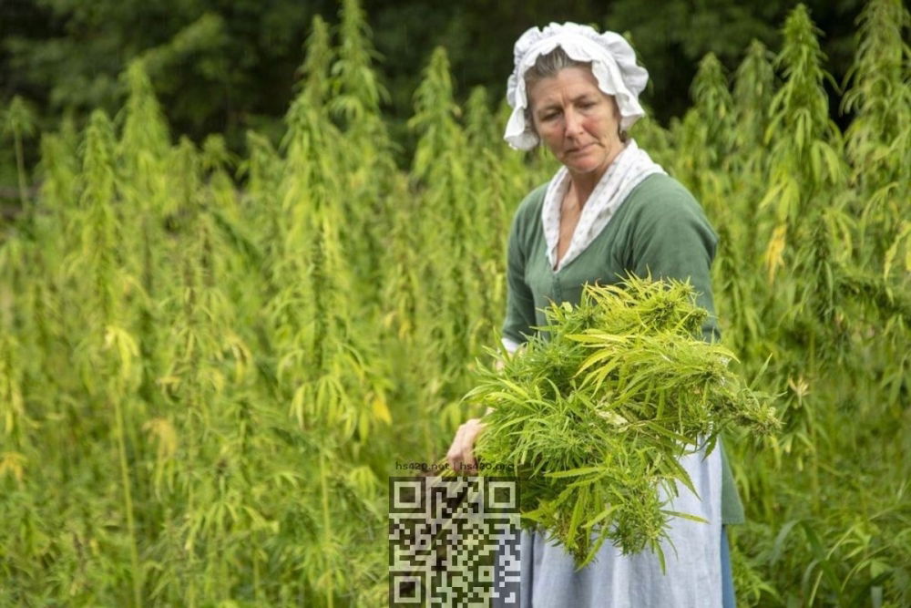 hemp-grow-us.jpg