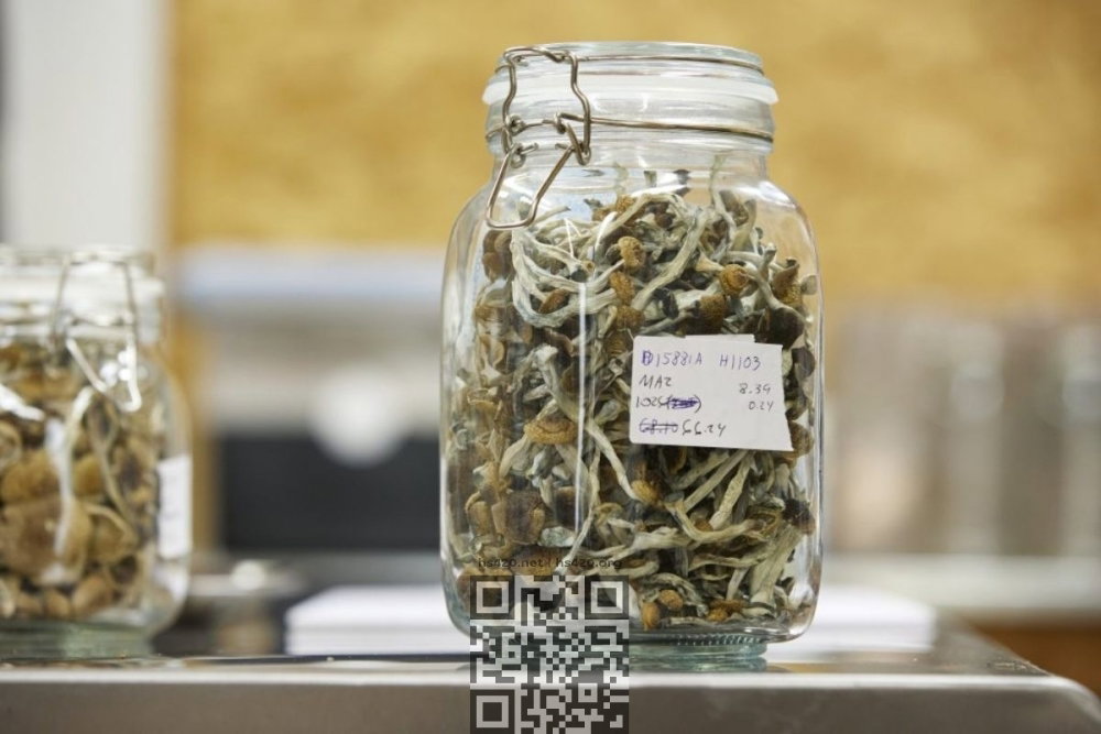 psilocybin-mushrooms-dried.jpg