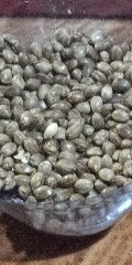 IMG_20251021_234402