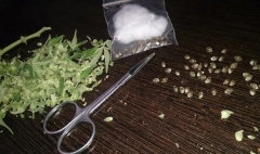 seeds_harvest.JPG