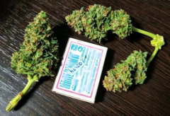 bud matches