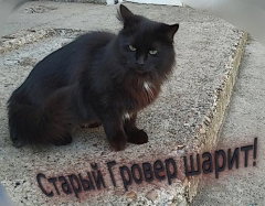 cтарый гровер