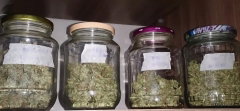 jars