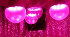 fito_light_led.JPG