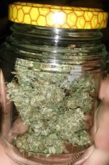 strawberry_jar.JPG