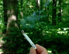 magic smoke