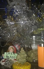 xmas_2025.jpg