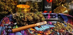 xxx-gelato-sm2-blend