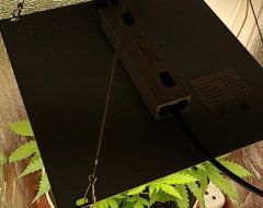 growbox 43x43 85W