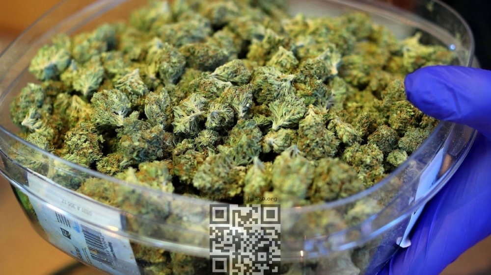 ton-marijuana-went-through-paraguay-border.jpg