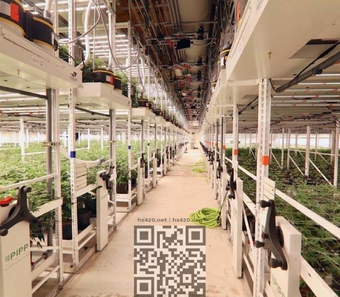 trulieve-cannabis-farm.jpg