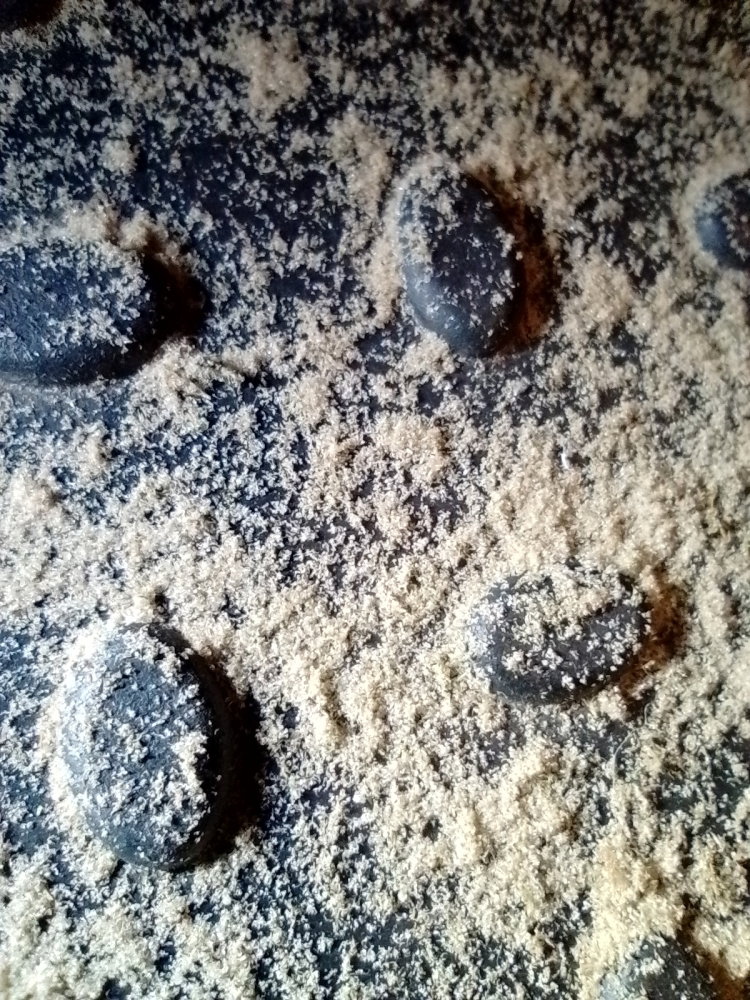 IMG_20251209_210920.jpg