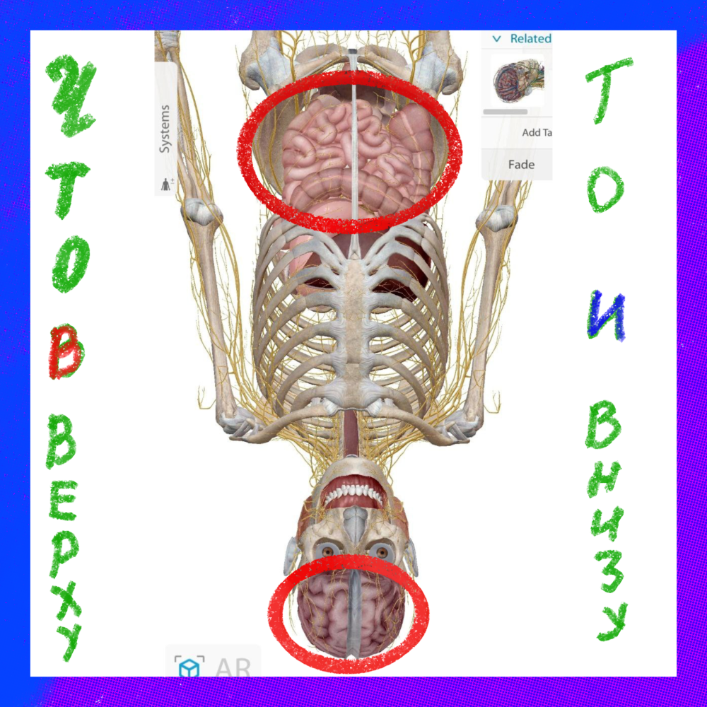 IMG_4487.thumb.png.857c8d3d589ef827ce95fc2acc74926c.png