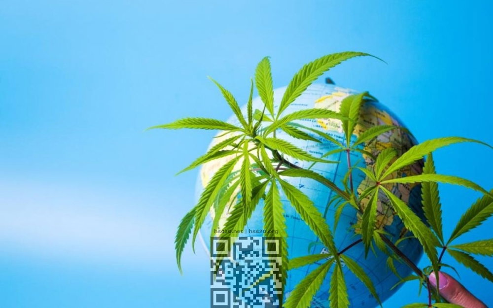 cannabis-2025-quiet-war.jpg