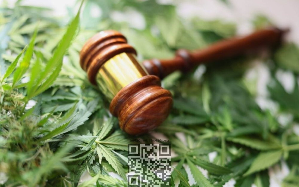 cannabis-court.jpg