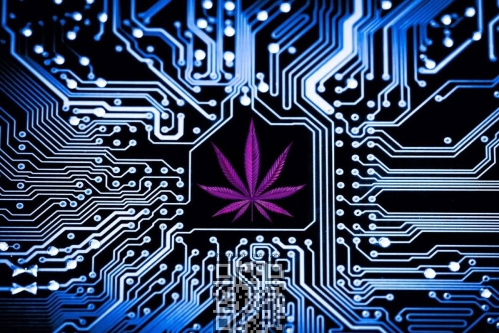 cannabis-for-chatgpt.jpg
