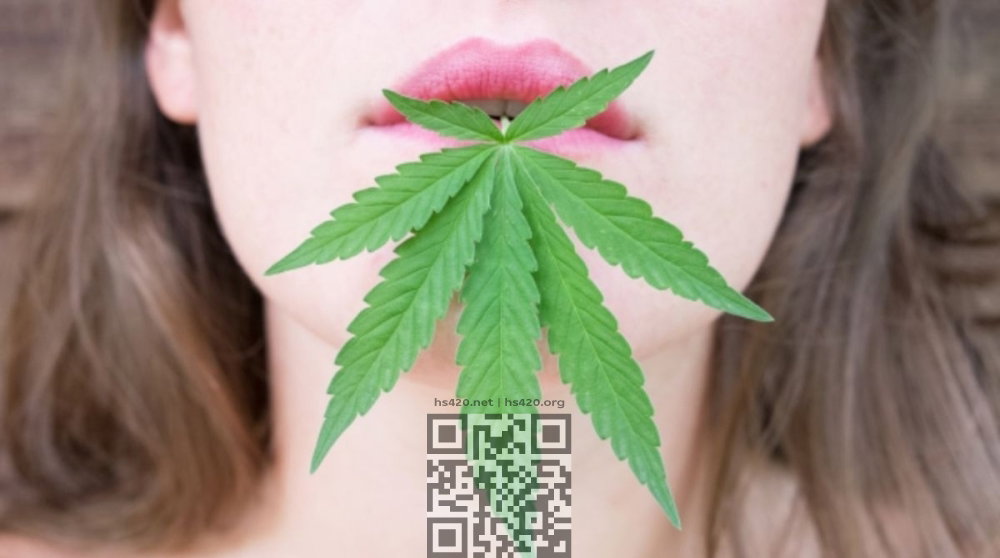 cannabis-vomiting.jpg