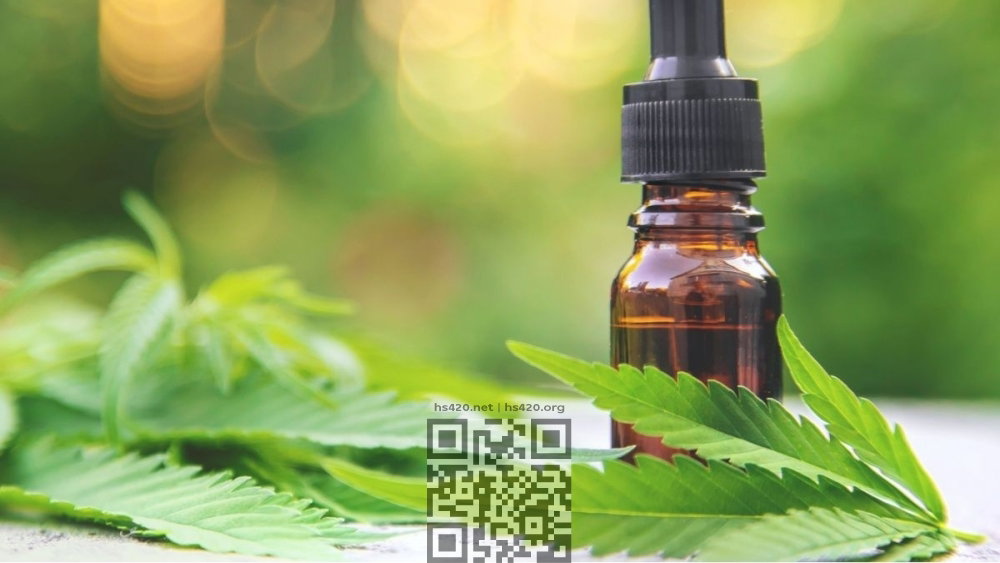 cbd-oil.jpg