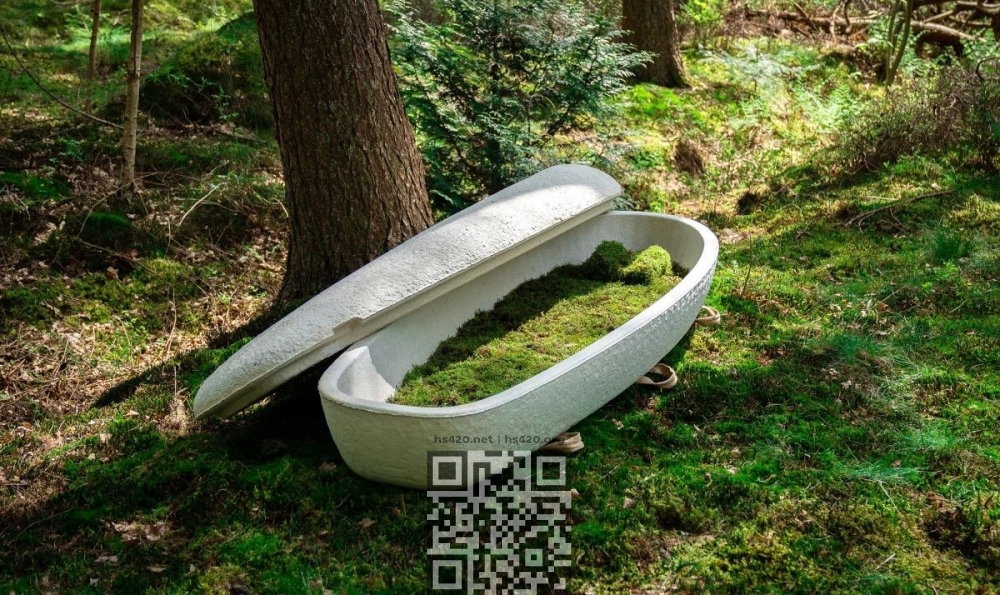 loop-living-cocoon.jpg