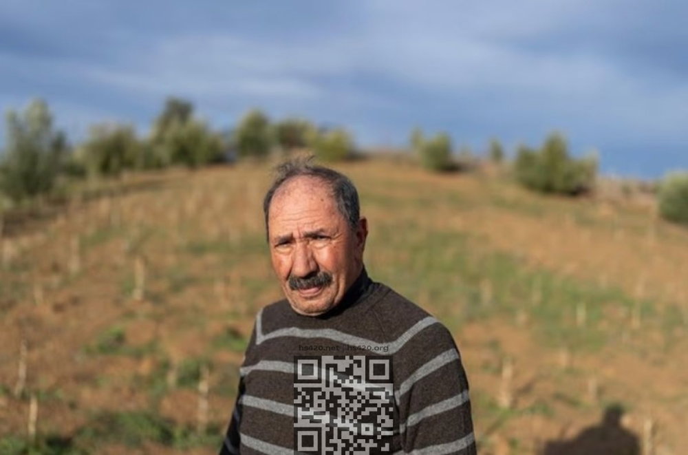 mohamed-makhlouf.jpg
