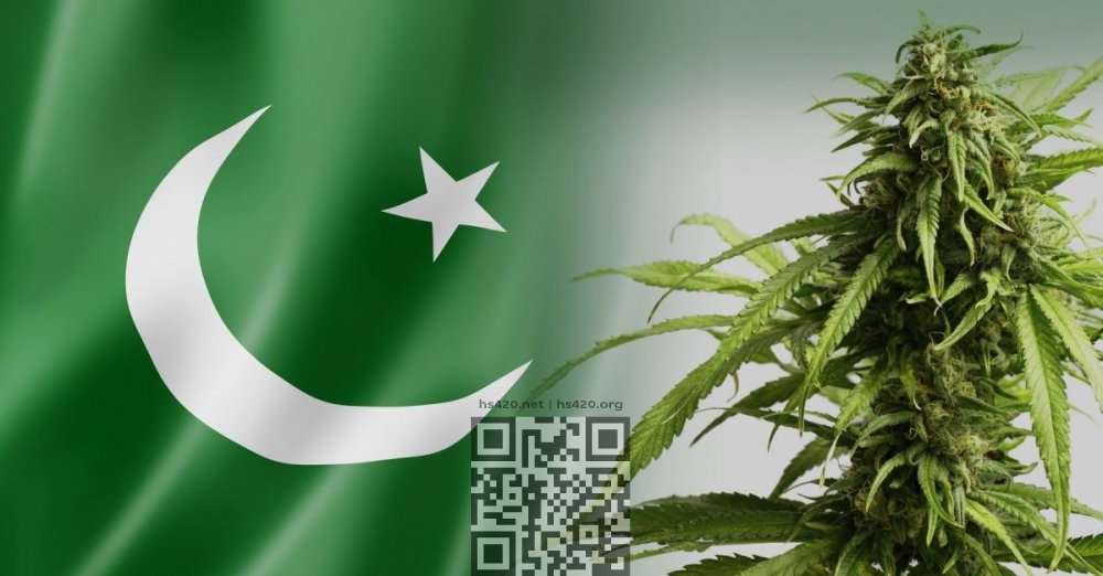 pakistan-cannabis-licences.jpg