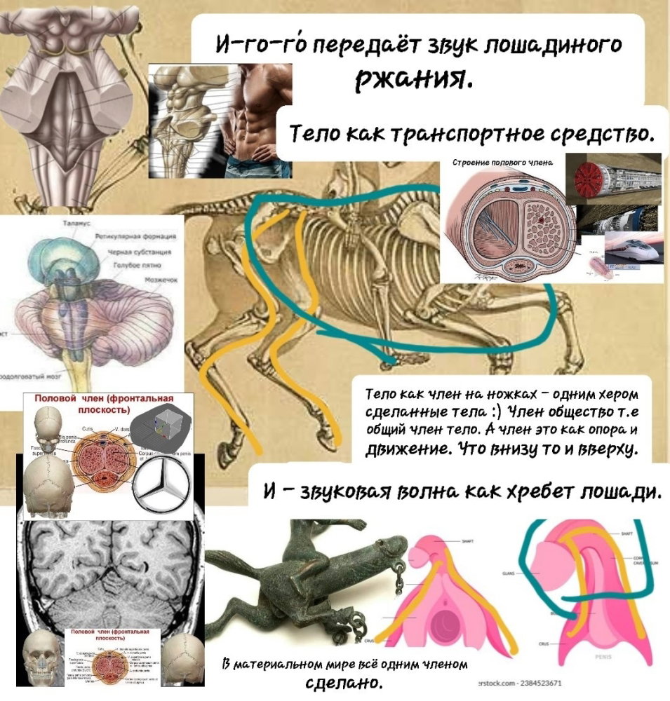 20241024_164218_Original.thumb.jpeg.0708abd568ee6318053e6dea0fac64bf.jpeg