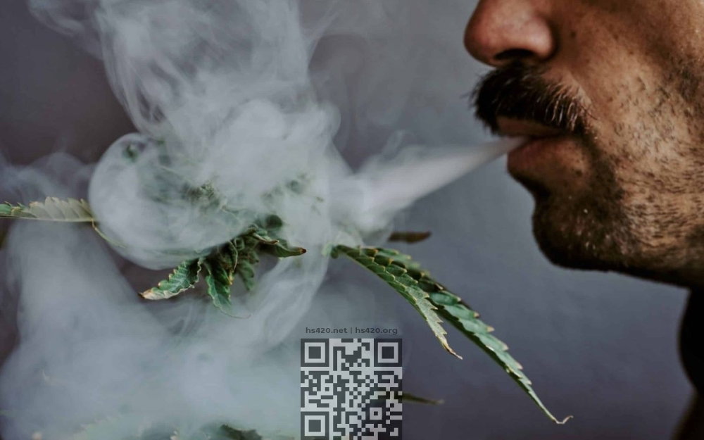 cannabis-smoke-man.jpg