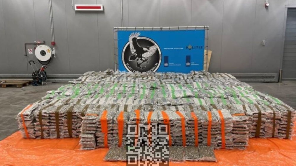 marijuana-seized-in-netherlands.jpg