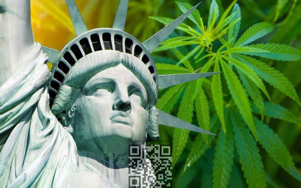 new-york-cannabis-sales-2025.jpg