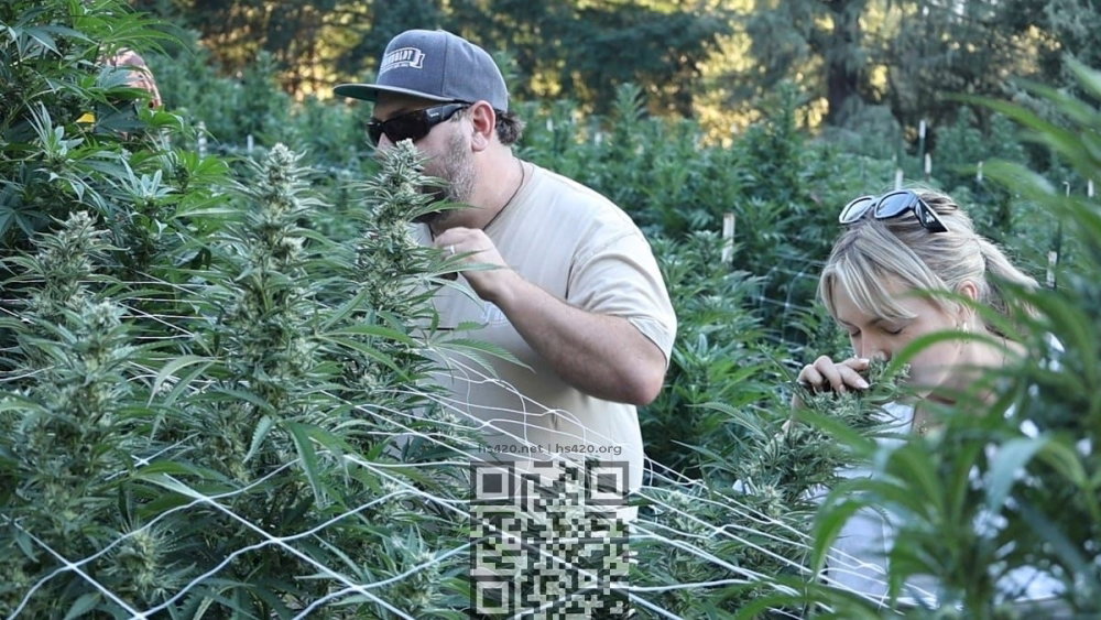 pheno-hunt-participants.jpg