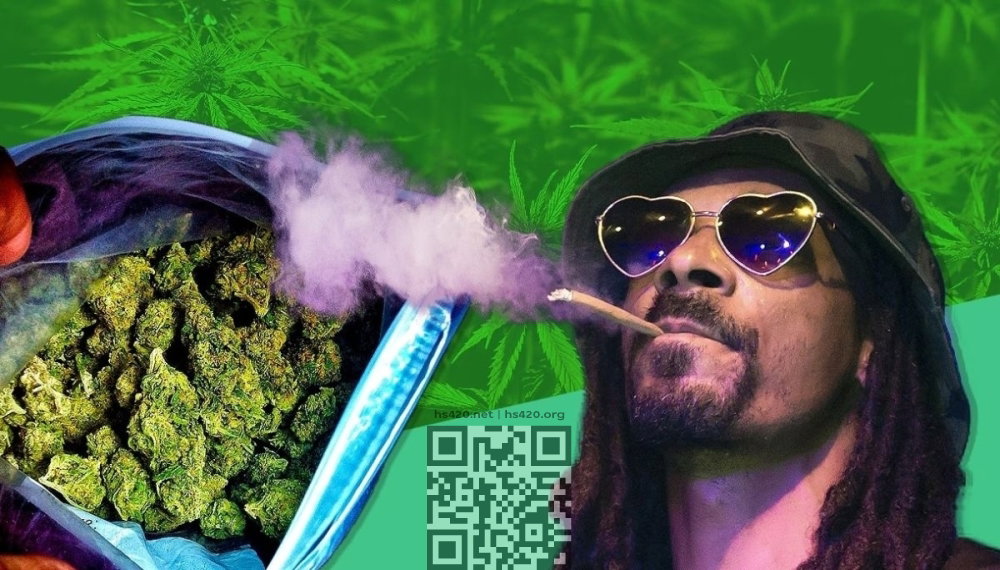 snoop-dogg-cannabis-censored.jpg