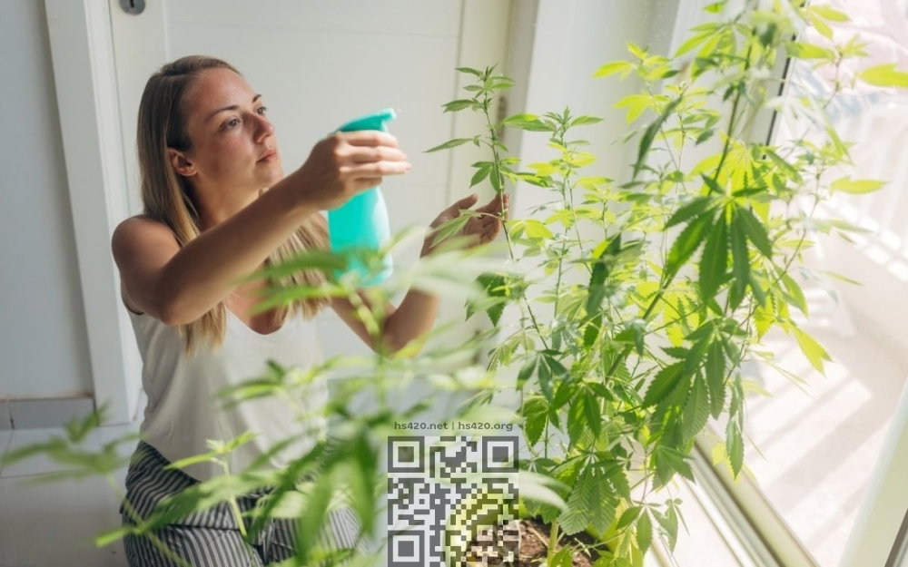 cannabis-gro-at-home.jpg